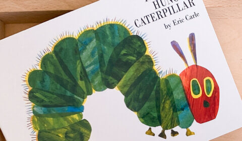 Discover Early Years - The Hungry Caterpillar Book (Hardcover)