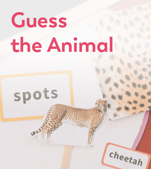 Discover Early Years - STEM for Kids - Guess the Animal